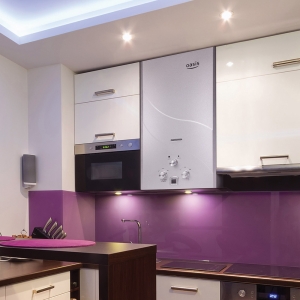 ��������������� ��������� ������� Oasis ����� Standart -12 kw(S)