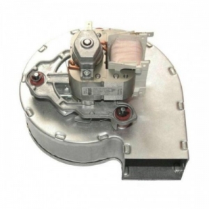 ���������� Beretta Super Exclusive 24-28 ��� CSI/RSI ���. R6492