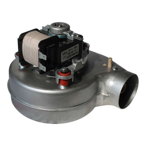 ���������� (�������) Ferroli Fortuna Pro, Domina Pro, Divabel ���. 398000170 (90261480)